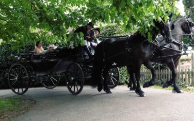 Wedding films at Sprivers Mansion – Clare and Andrew’s wedding